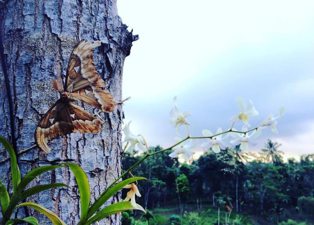 شقة Sky Garden Lombok تيتيباتو المظهر الخارجي الصورة
