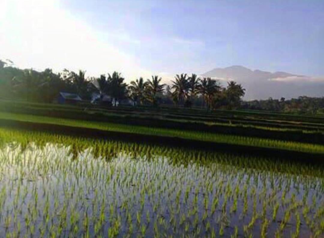 شقة Sky Garden Lombok تيتيباتو المظهر الخارجي الصورة